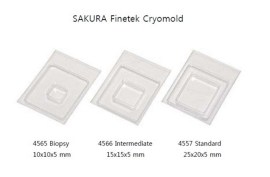 Criomolde Plástico Intermediário 15 X 15 X 5 Mm - 100 Unid - Sakura